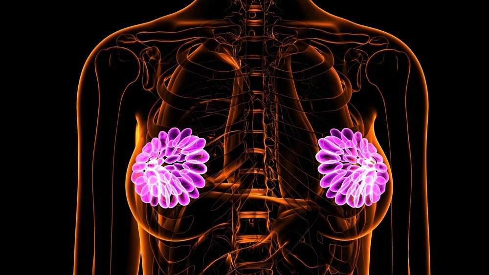 The Let Down Reflex… What is it and why is it so important? Ardo Medical