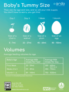 Baby Tummy Sizes